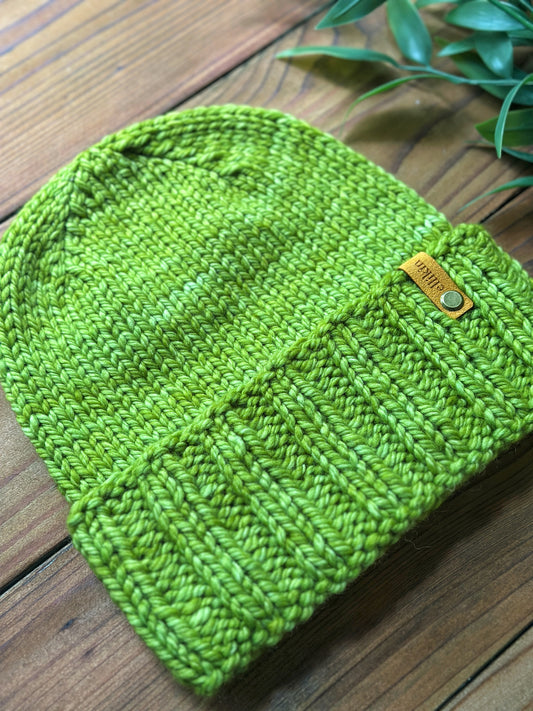 Alpine Trail Bulky in Lettuce