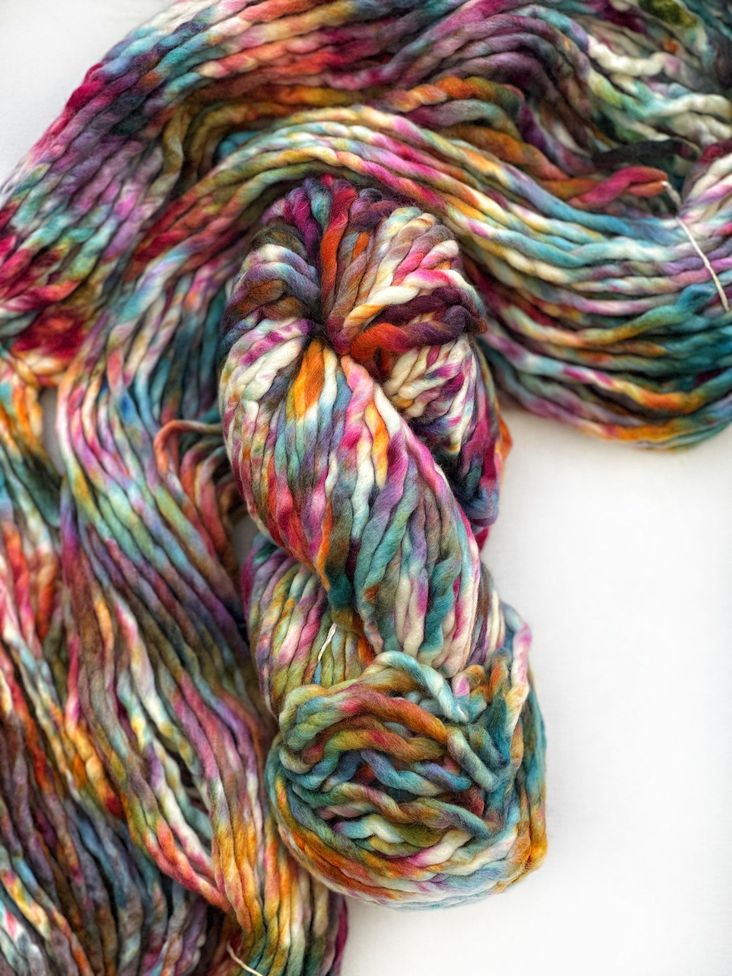 Malabrigo Rasta in Molino