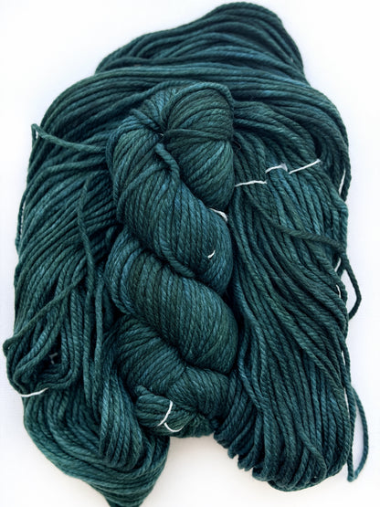Malabrigo Chunky in Forest