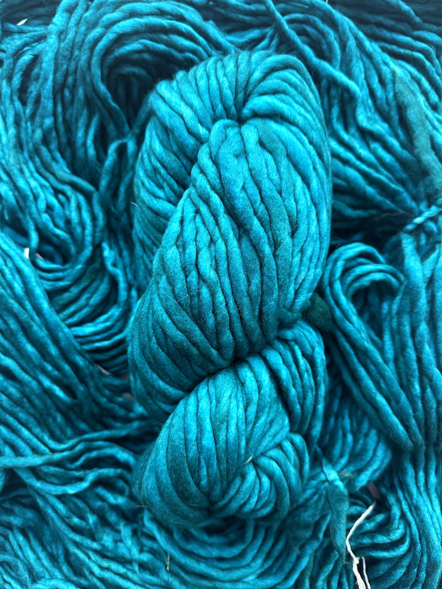 Malabrigo Rasta in Teal Feather