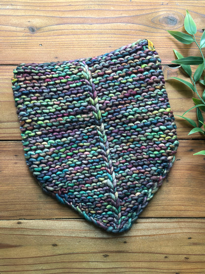 Pamn Bandana Cowl in Arco Iris