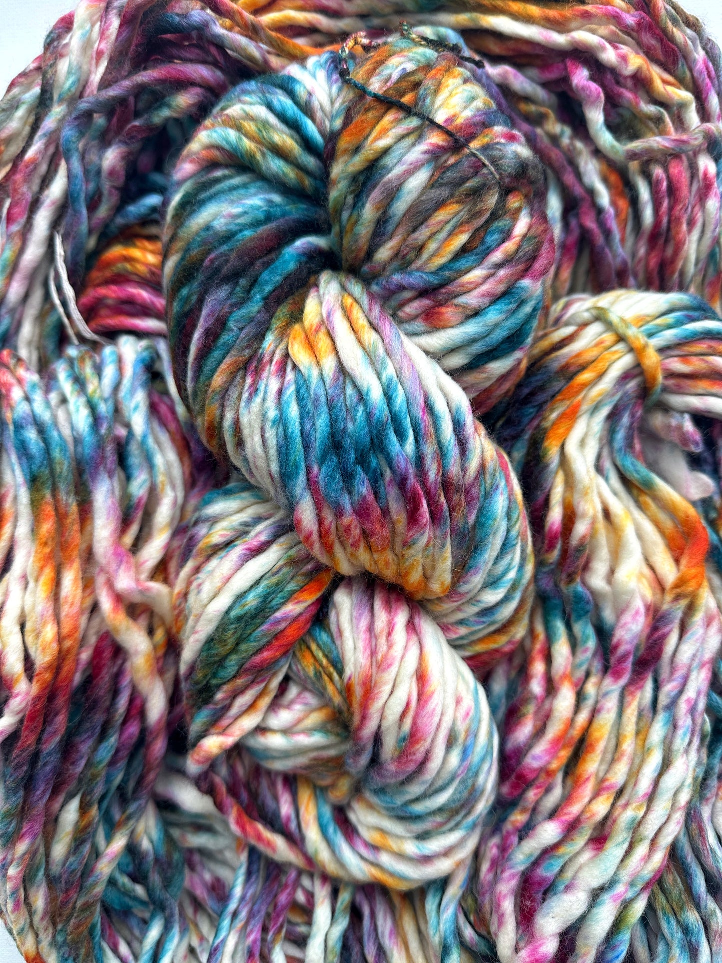 Malabrigo Rasta in Molino