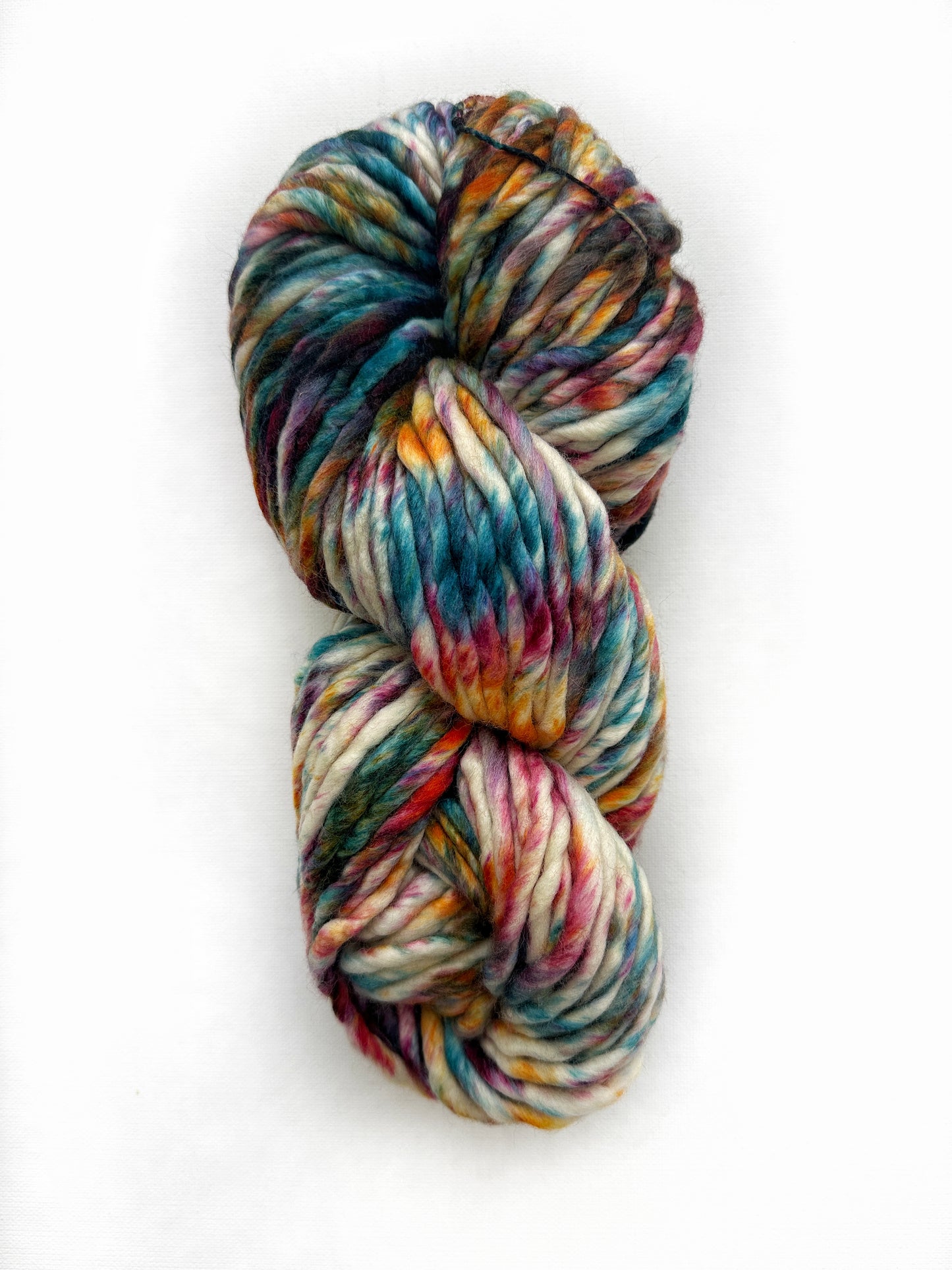 Malabrigo Rasta in Molino