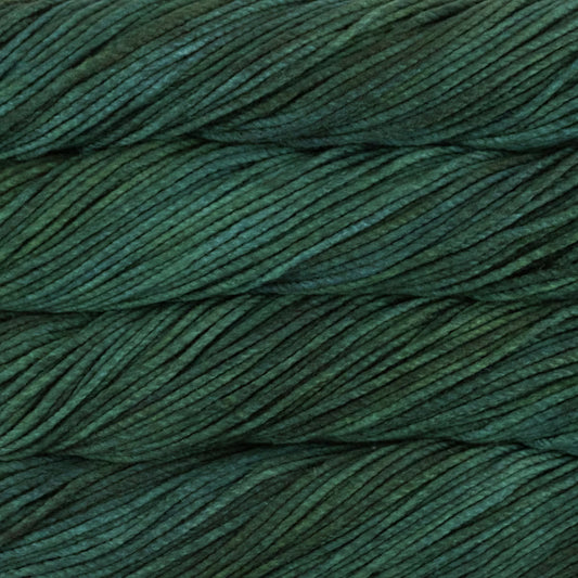 Malabrigo Chunky in Forest