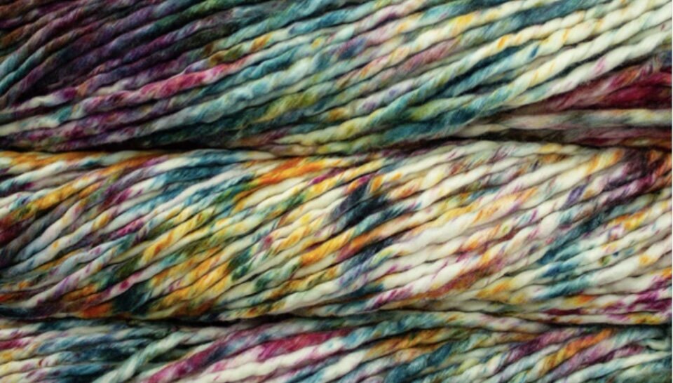 Malabrigo Rasta in Molino