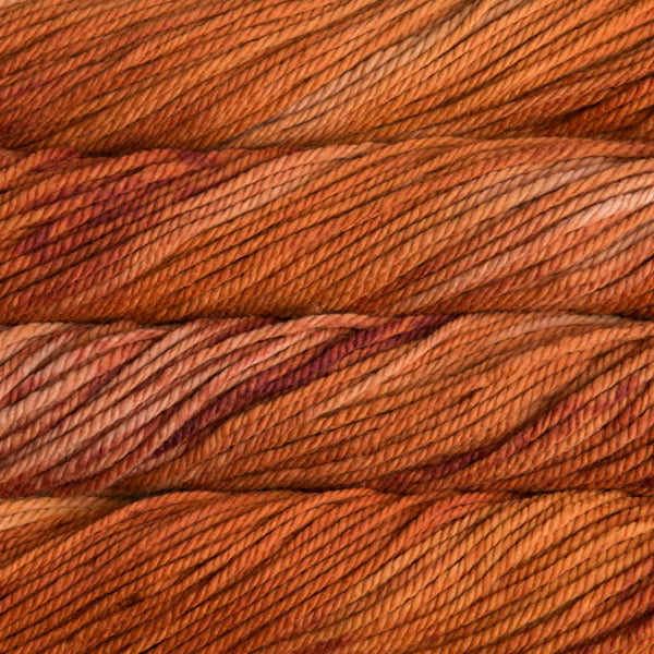 Malabrigo Chunky in Rhodesian Ridgeback